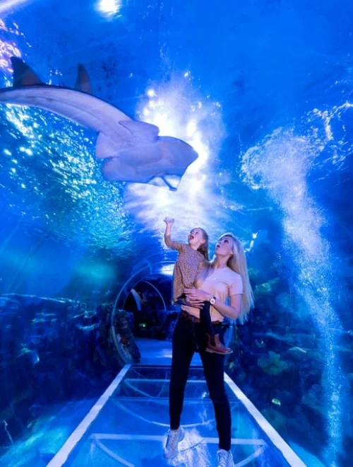 National Sea Life Centre Entrance Ticket